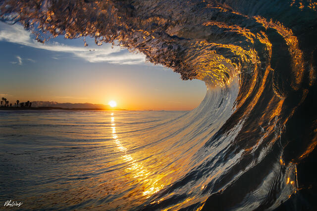 Sunrise wave curling over the ocean with golden light reflecting on the water in Oxnard, California.