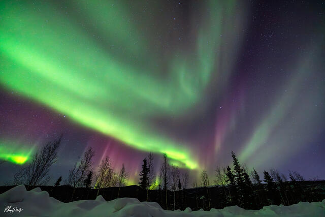 Aurora borealis over snowy forest in Yukon Alaska at night