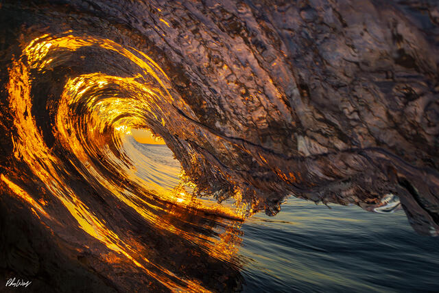 Golden sunset light illuminating the interior of a curling ocean wave in Malibu, Los Angeles, California.