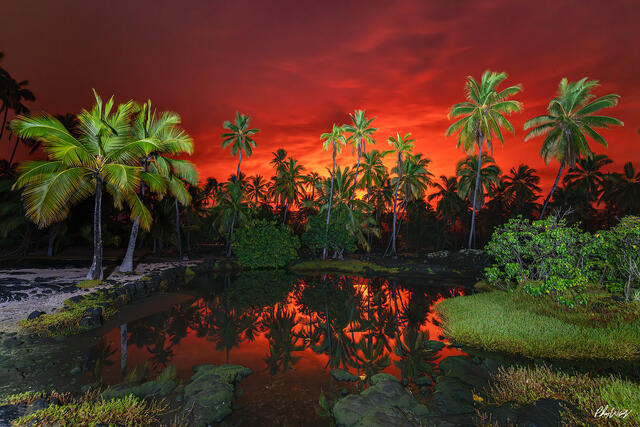 Palm trees reflected in still water beneath a red lava lit sky near Mauna Loa on the Big Island of Hawaii.
