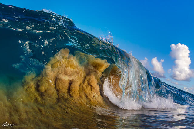 Ocean wave curling with sand suspended inside the water on the North Shore of Oahu Hawaii.