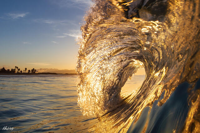 Golden sunrise light illuminating the shoulder of a curling ocean wave in Oxnard, California.
