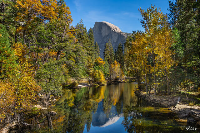 Autumn trees and river reflecting Half Dome in Yosemite Valley, California.