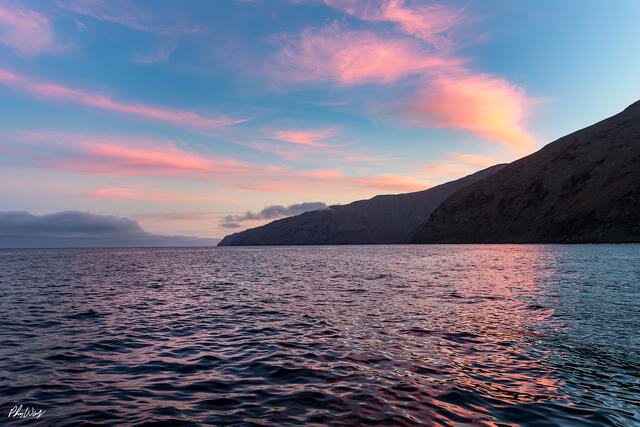 Soft pink and blue sunset reflecting on ocean water near Guadalupe Island Mexico with rugged cliffs in background.