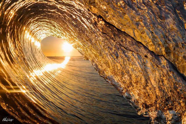 Golden sunrise shining through the inside of a curling ocean wave at Manhattan Beach, California.
