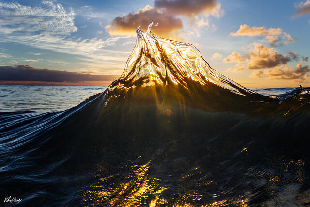 Golden sunset light illuminating a sculptural backwash wave at Sunset Beach on Oahu.