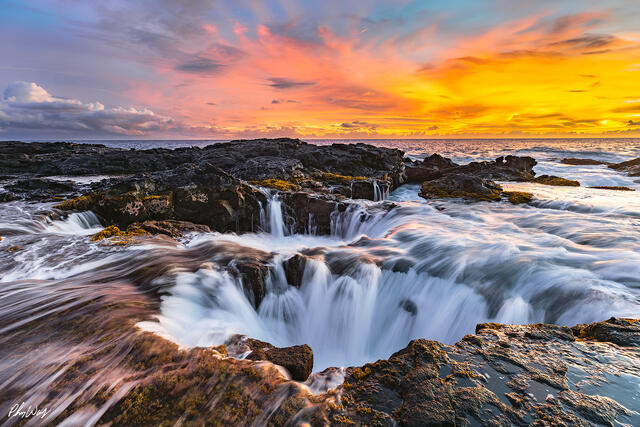 Limited Edition Fine Art Prints