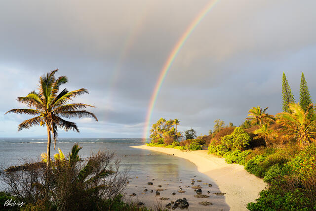 Rainbow reaching the shoreline above a tropical beach with palm trees on Molokai, Hawaii.