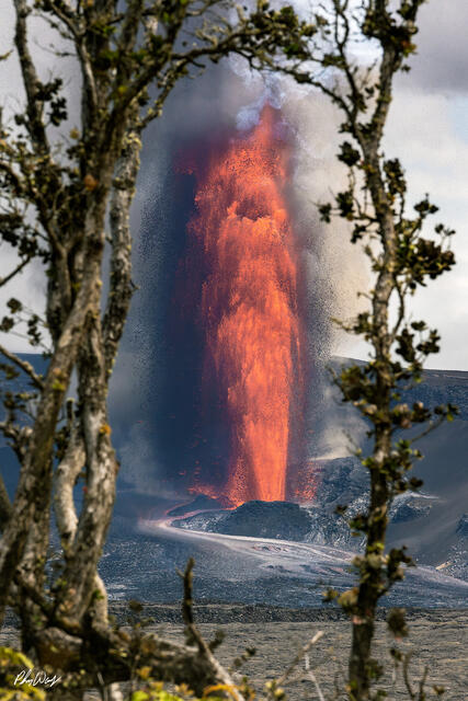 Lava fountain erupting from Kilauea volcano framed by trees in Volcanoes National Park on the Big Island of Hawaii.