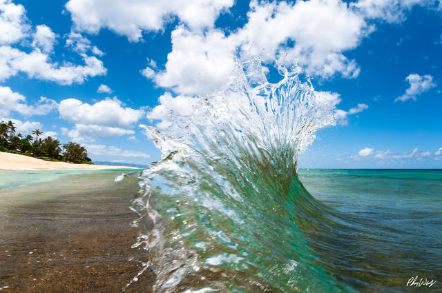 Powerful backwash wave rising along the shoreline under a bright blue sky on the North Shore of Oahu Hawaii.