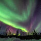 Screaming Aurora