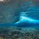 Tahiti Behind Wave