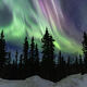 Grurple Lights