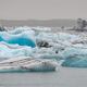 Ice Party