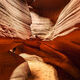 Path of Antelope