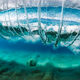 North Shore Vortex
