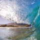 Dream Curl Hawaii