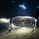 Manta Ray Mouth