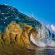 Sandy Wave Face Keiki