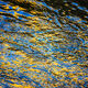 Golden Blue