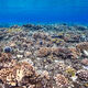 Tapuna Reef