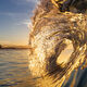Golden Wave Shoulder