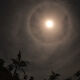 Kona Moon Halo