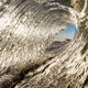Barrel View Malibu