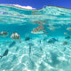 Dreamy Tahiti