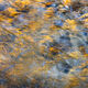 Golden Stream