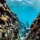 Reef Trench Tahiti