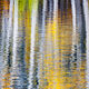 Aspen Abstract