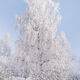 Frozen in Time