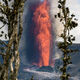 Tree Frame Kilauea