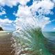 Wild Backwash Wave