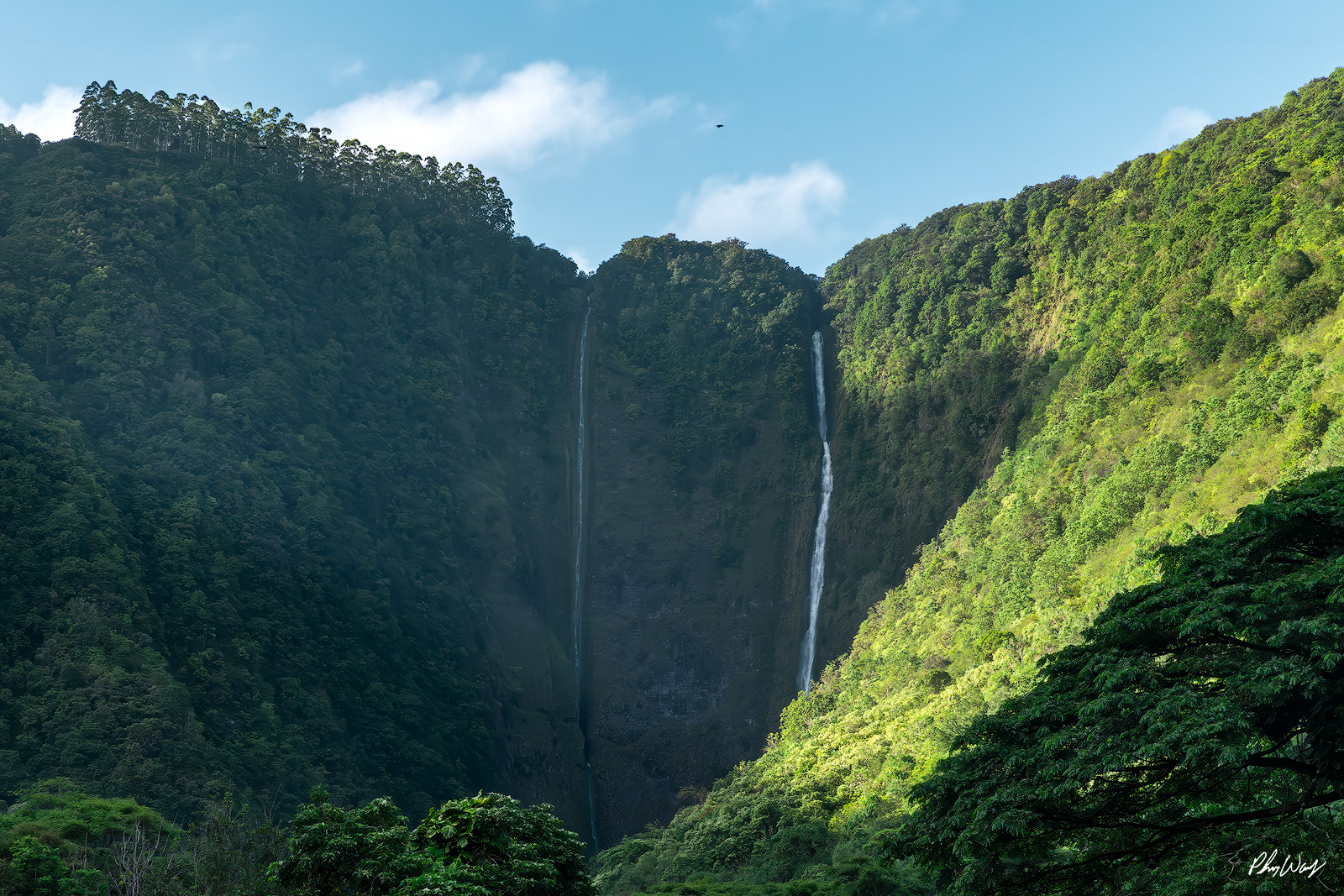 First Light Waipio Valley Morning light illuminating waterfalls and lush cliffs in Waipio Valley on the Big Island of Hawaii.