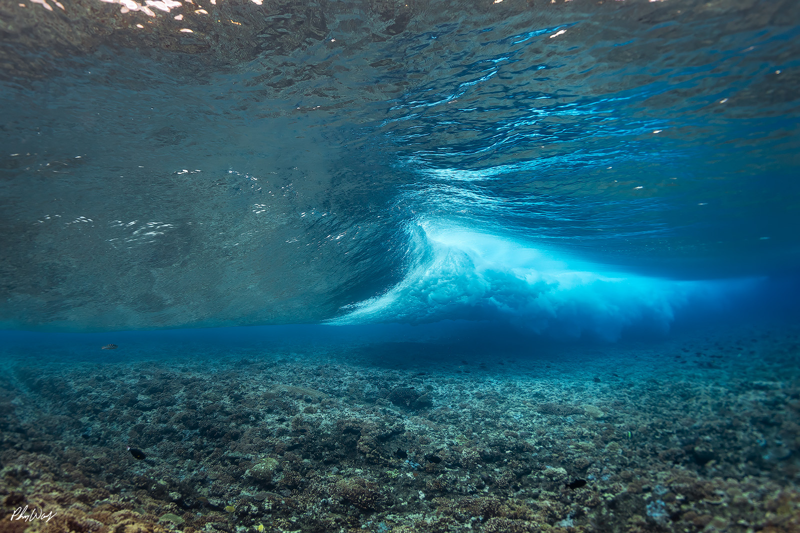 Tahiti Behind Wave Underwater view of a breaking ocean wave rolling over a coral reef in Tahiti.