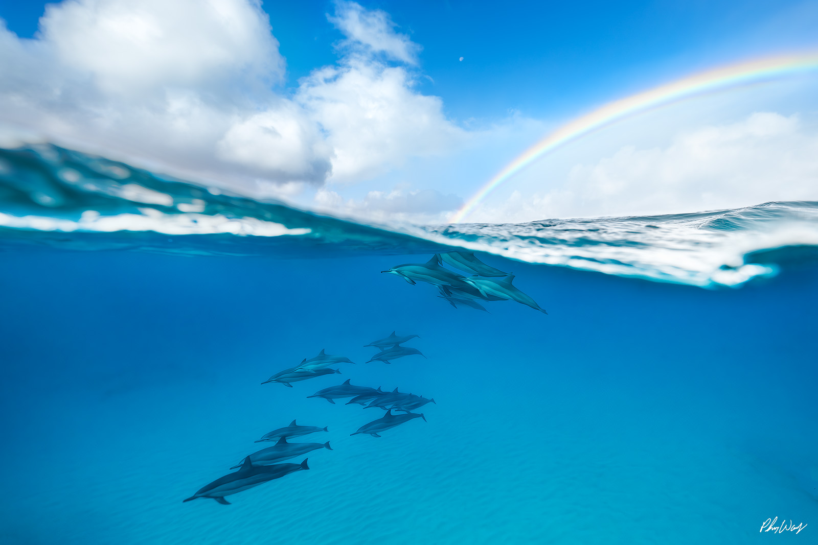 Half Rainbow Half Dolphins Split level photograph of dolphins swimming underwater with a rainbow visible above the ocean off the North Shore of Oahu, Hawaii.