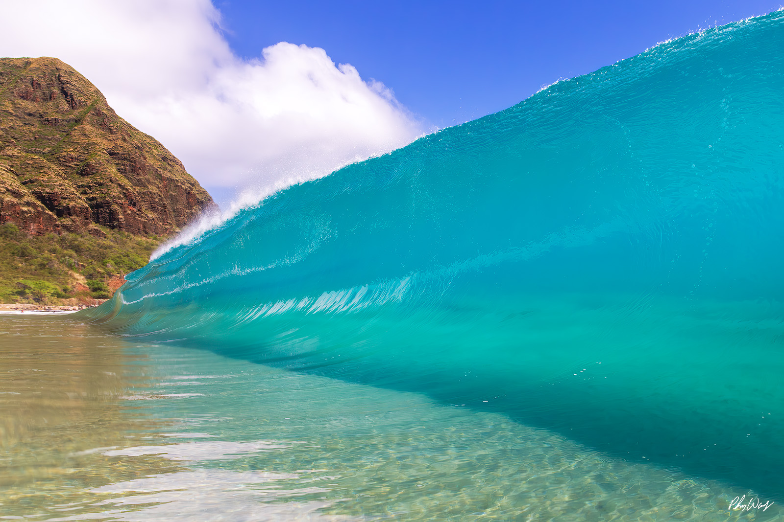 Aqua Blue Hawaiian Wave Bright aqua blue wave rising in clear water along the North Shore of Oahu Hawaii.