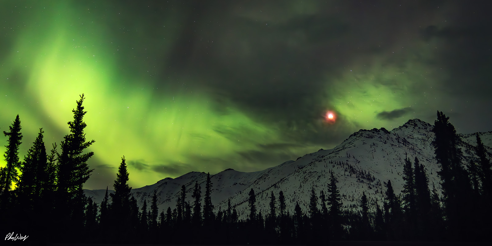 Aurora Blood Moon Green northern lights with a red moon glowing above snow covered mountains and silhouetted trees at night in the Brooks Range Arctic Circle Alaska.