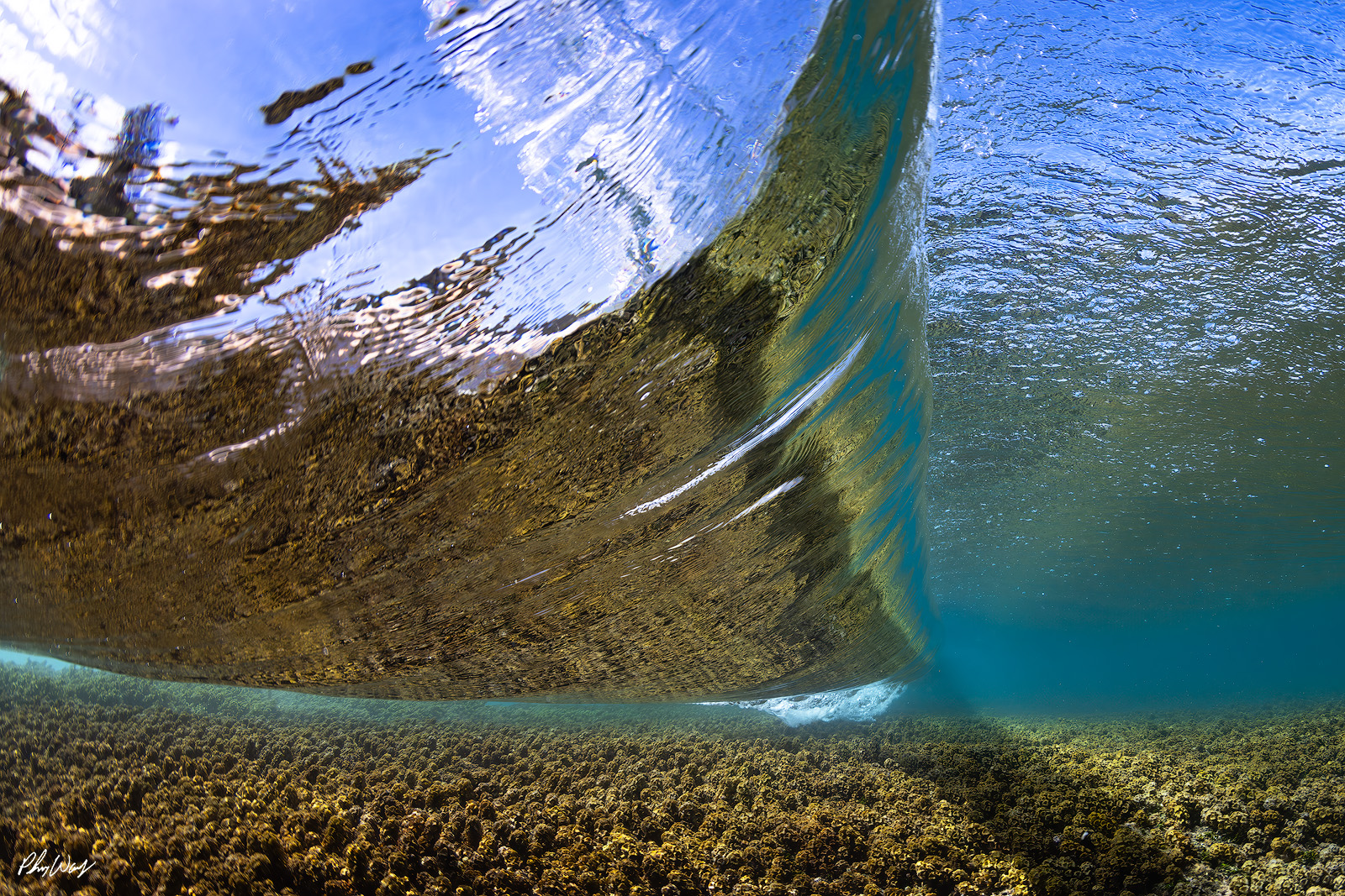 Behind the Wave Underwater view beneath a breaking wave over coral reef on Oahu Hawaii.