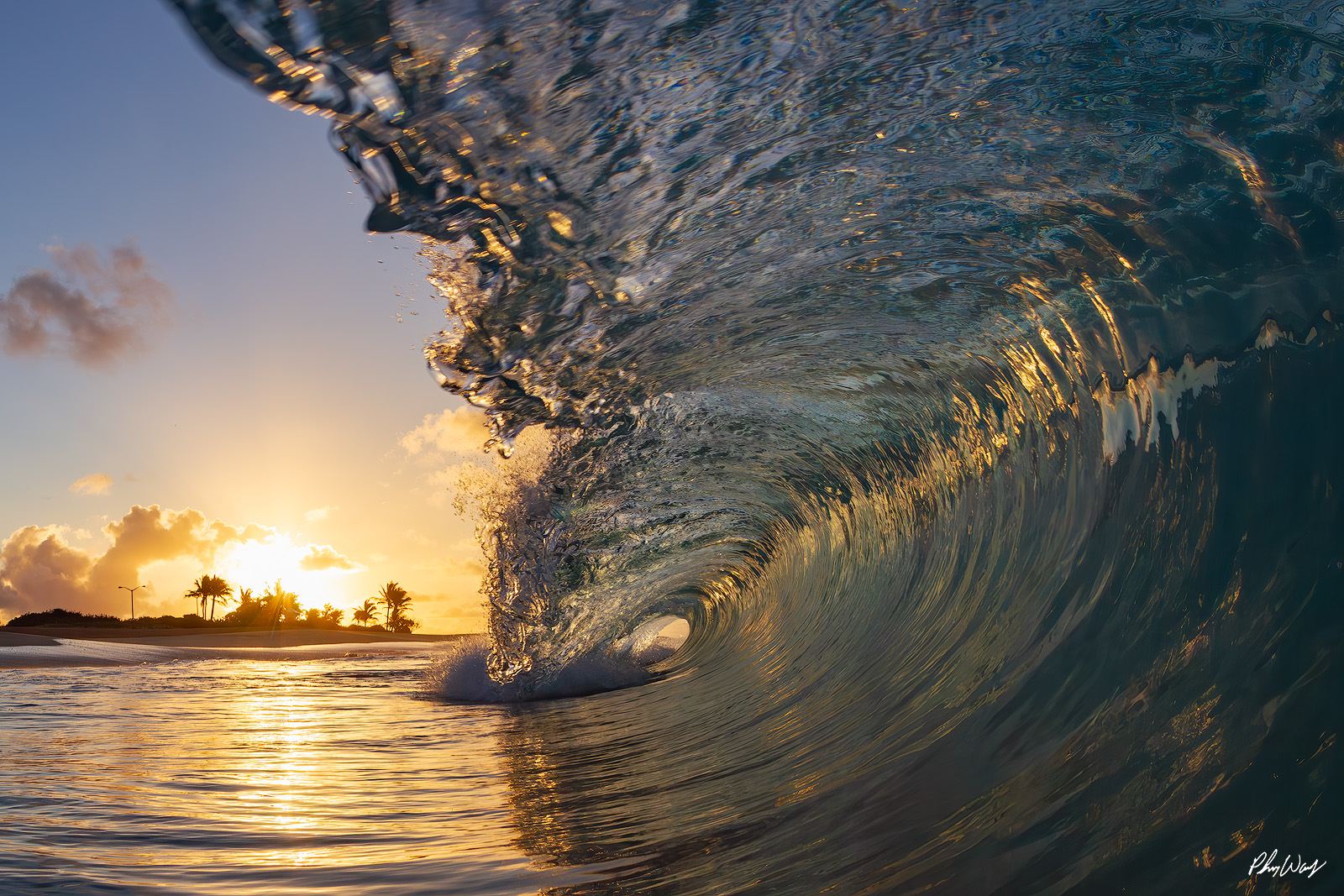 Golden Sunrise Sandy Beach Golden sunrise lighting a curling wave breaking at Sandy Beach on Oahu Hawaii.
