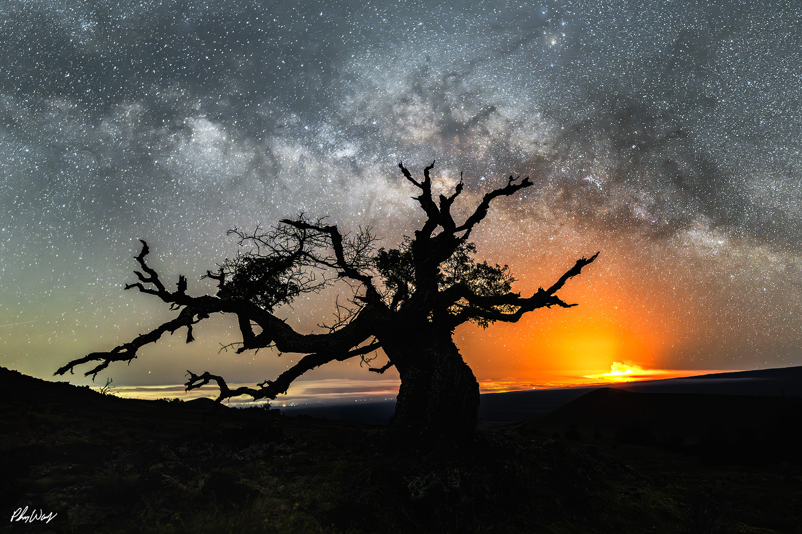 Mauna Kea and Lava Glow Silhouetted tree beneath the Milky Way with glowing lava on the horizon from Mauna Kea on the Big Island of Hawaii.
