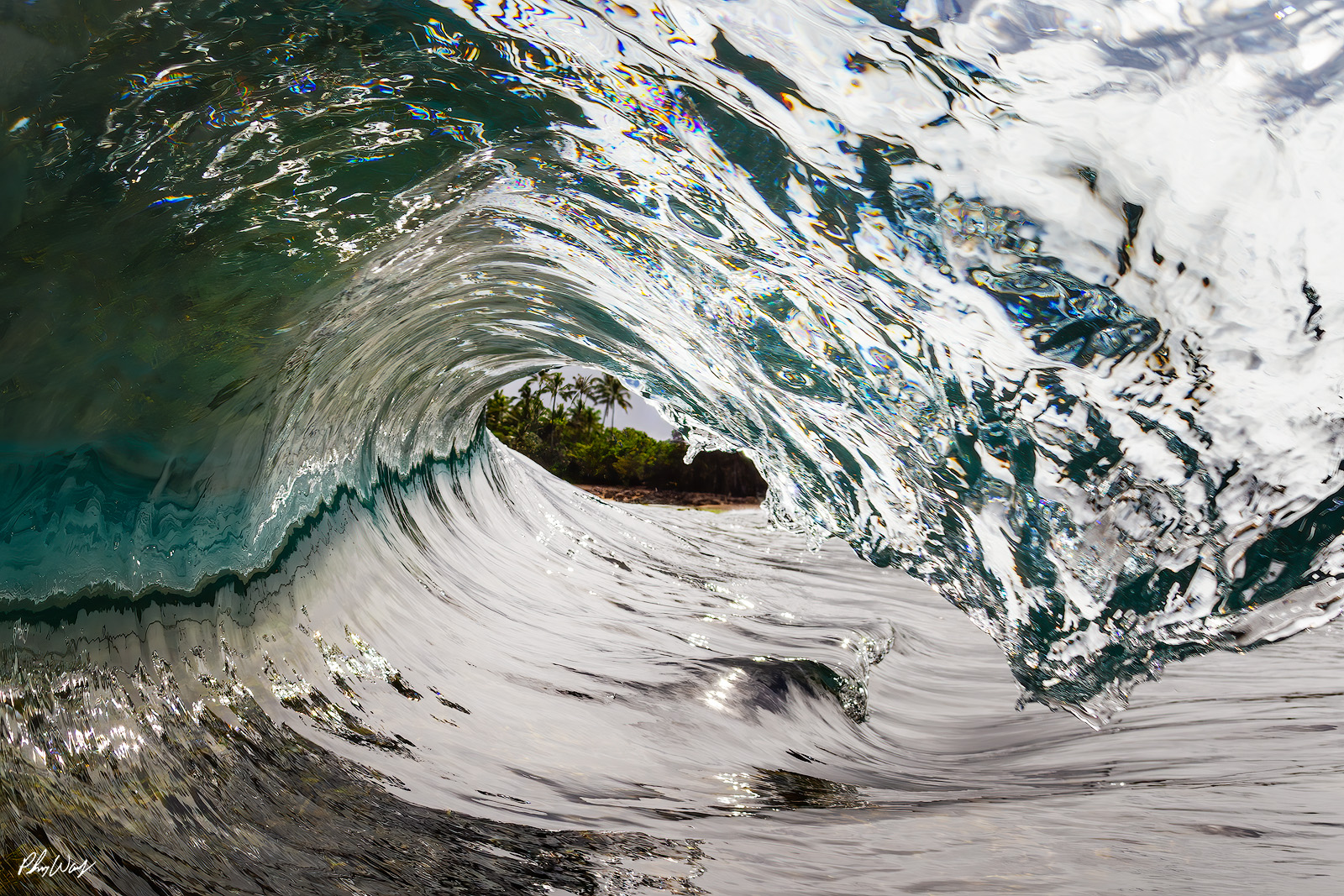 Glassy Wave Hawaii Clear glassy ocean wave curling near shore with palm trees on Oahu Hawaii.