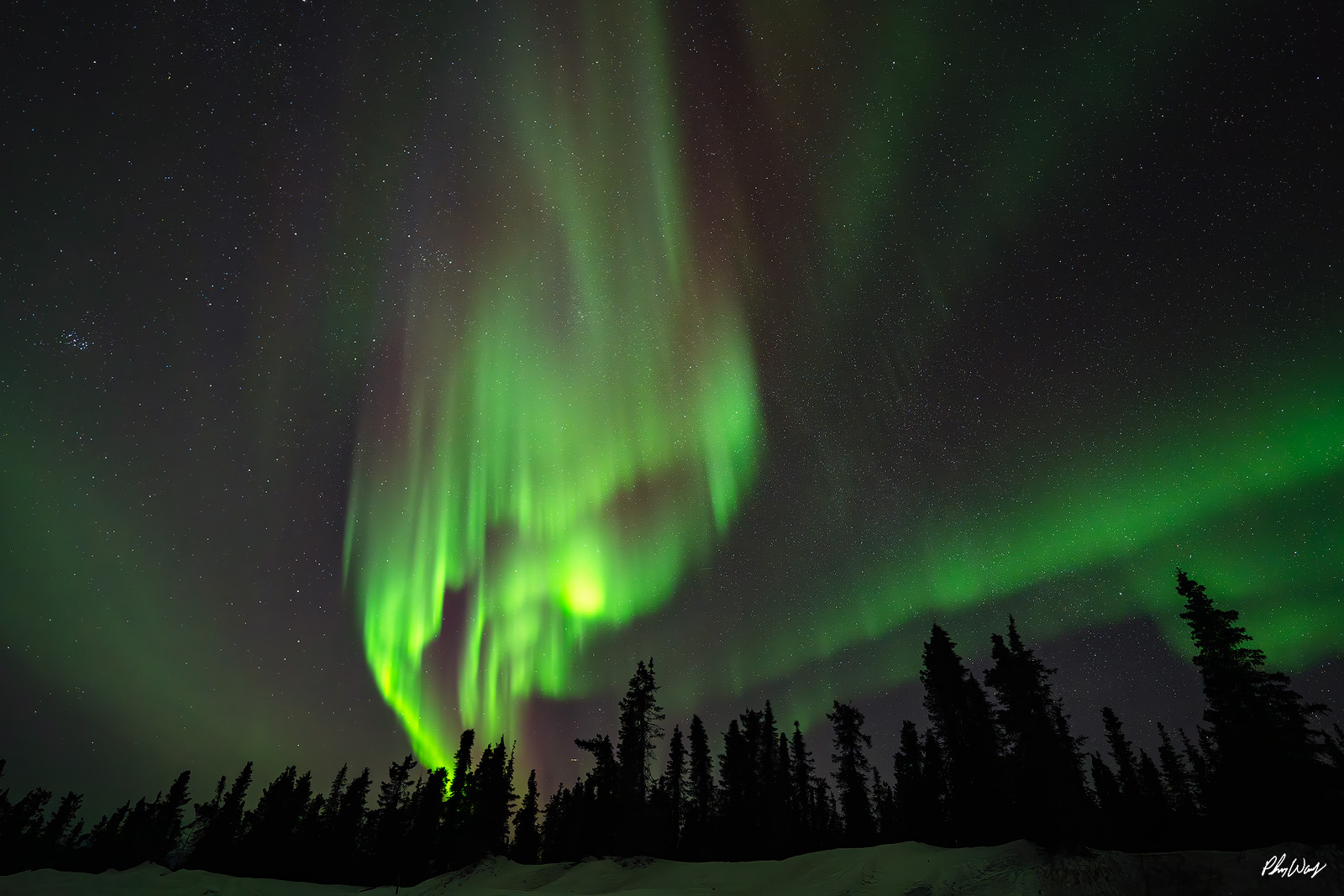 Aurora Multi Pass Bright green aurora borealis flowing across the night sky above forest in the White Mountains Yukon Alaska