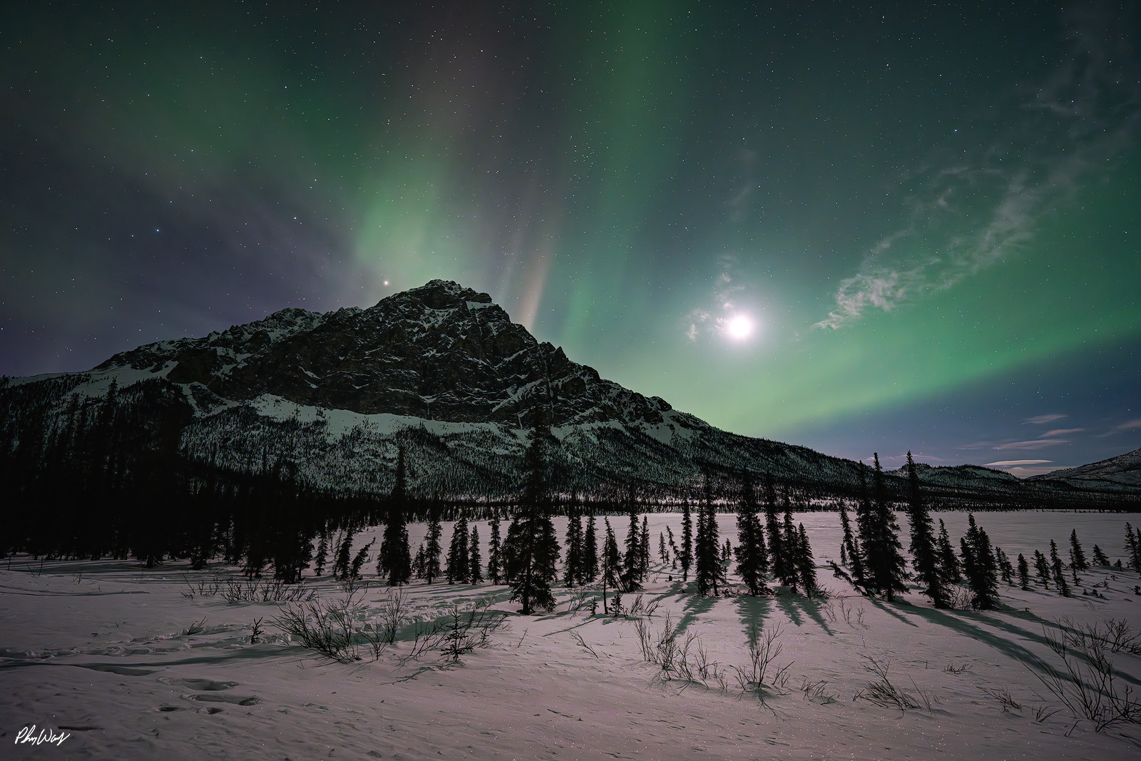 Moonset Aurora Green aurora borealis above snow covered mountain and forest at moonset in the Arctic Circle near Fairbanks Alaska
