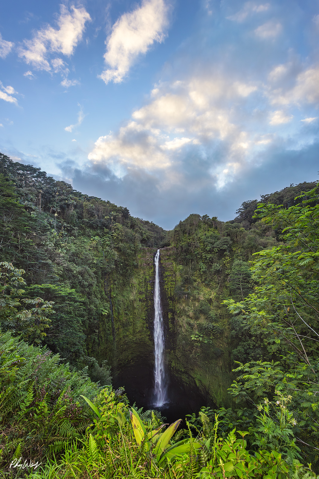 Akaka Water Fall Akaka Falls plunging into a lush rainforest gorge on the Hamakua Coast of the Big Island of Hawaii.