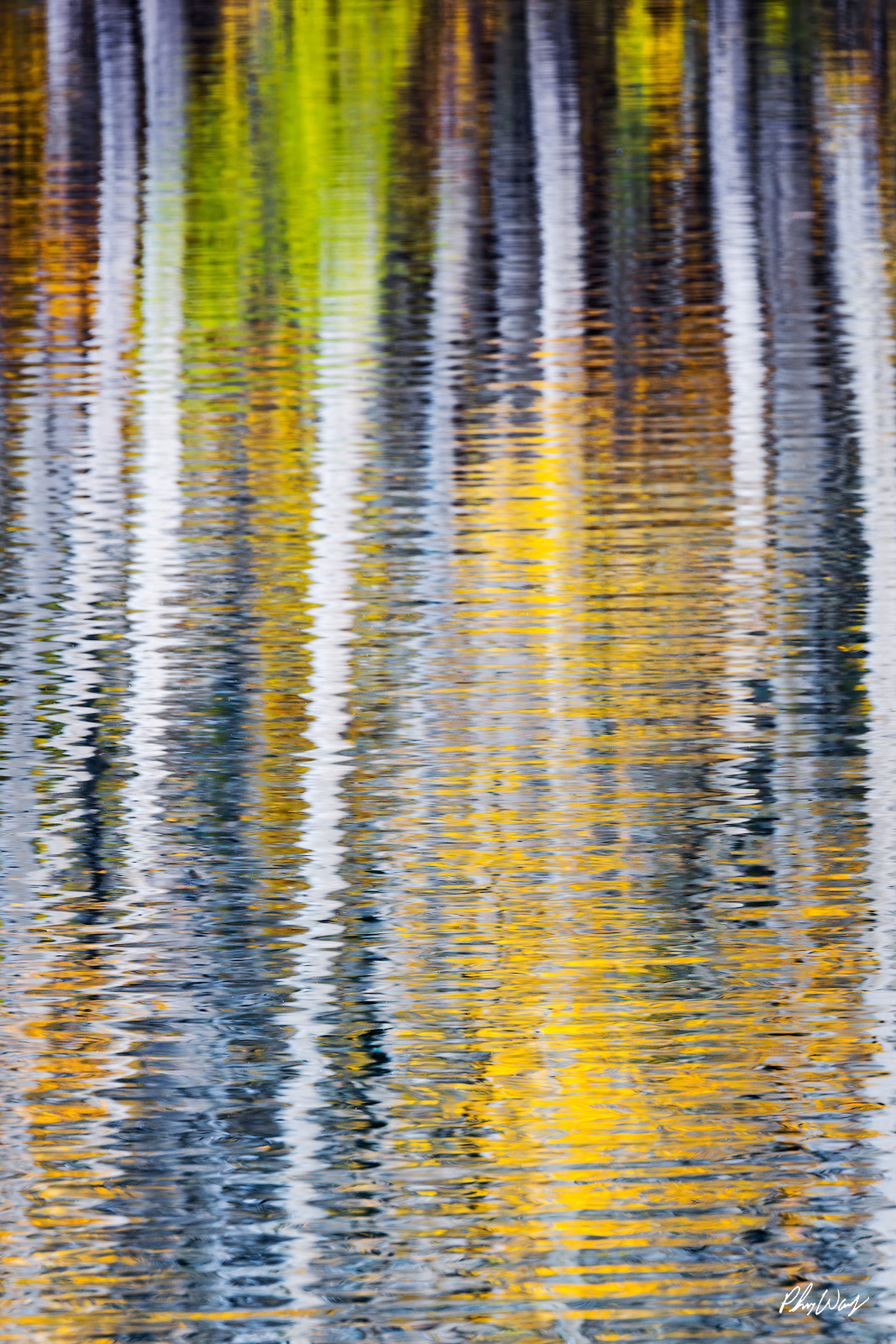 Aspen Abstract Abstract reflection of colorful aspen trees in calm water during fall in Bishop Creek Canyon, Eastern Sierra Nevada, California.