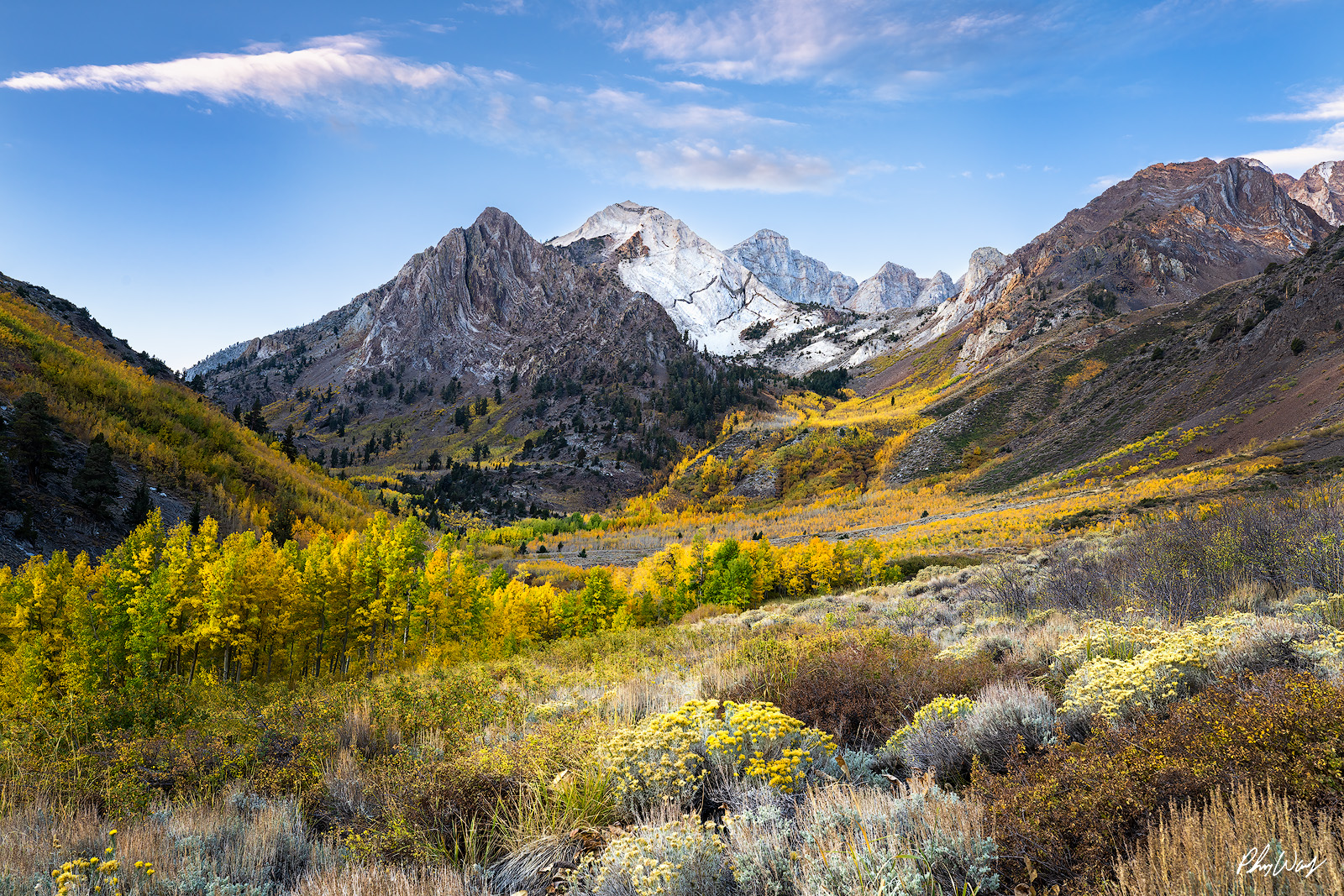 Magical McGee Autumn mountain valley with golden aspen trees and rugged peaks in Mono County, California.