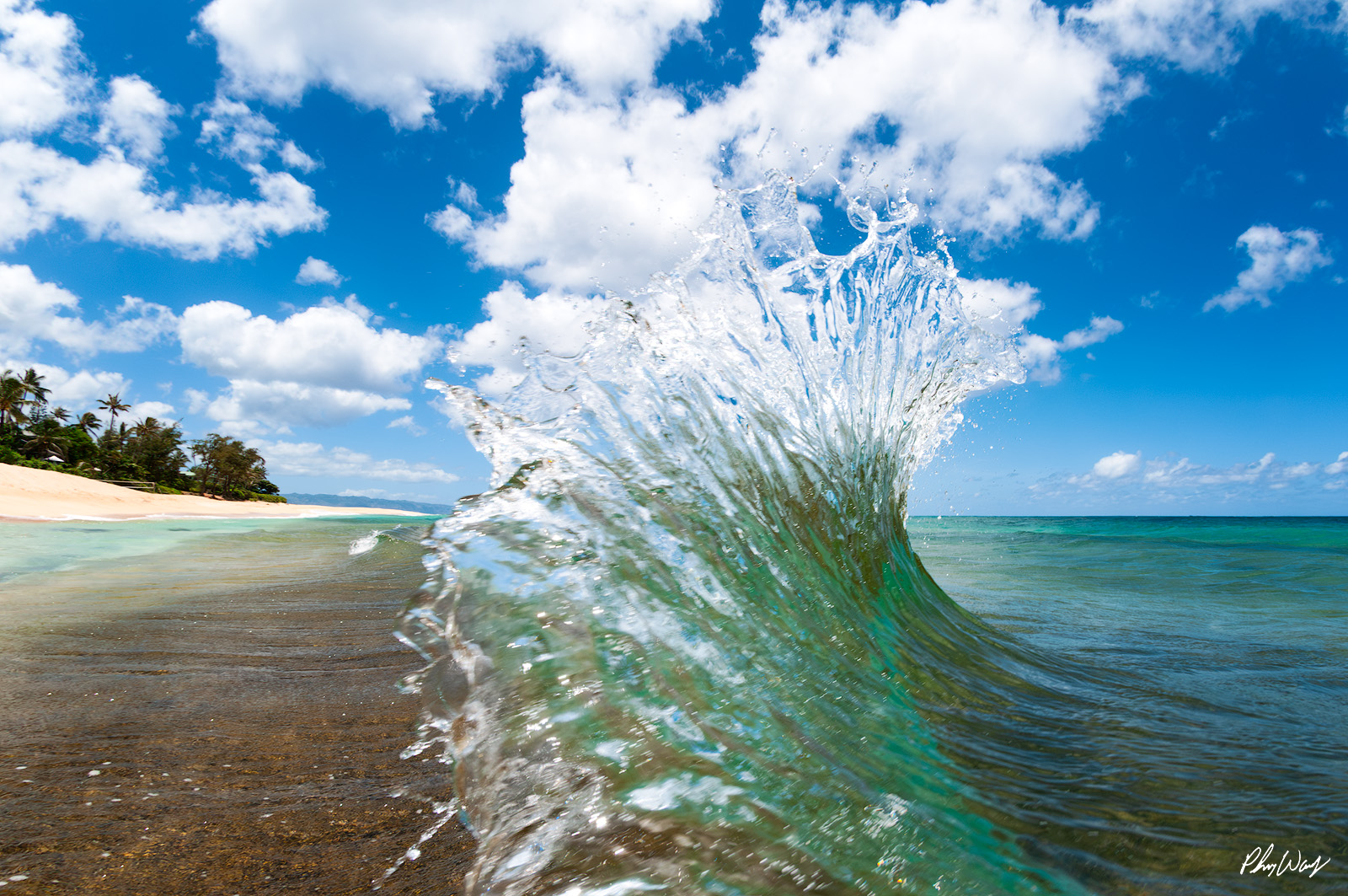 Wild Backwash Wave Powerful backwash wave rising along the shoreline under a bright blue sky on the North Shore of Oahu Hawaii.